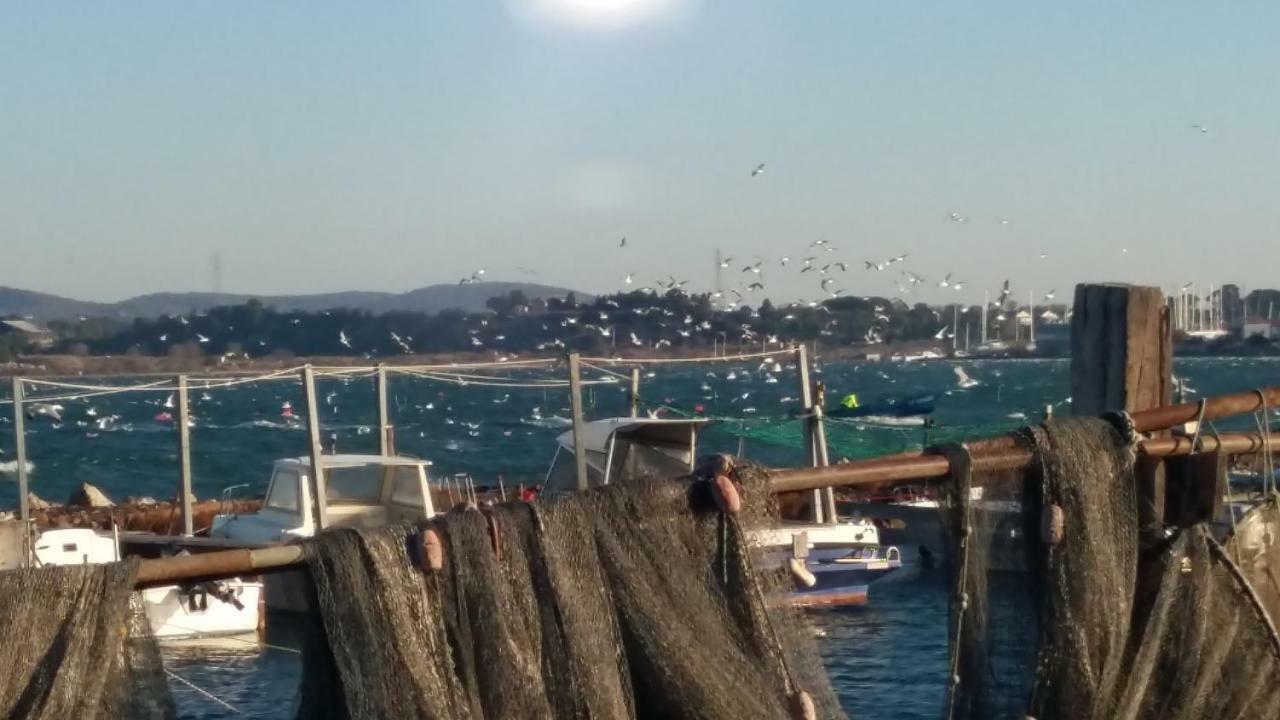 La Cabane D'Isa Sète Buitenkant foto